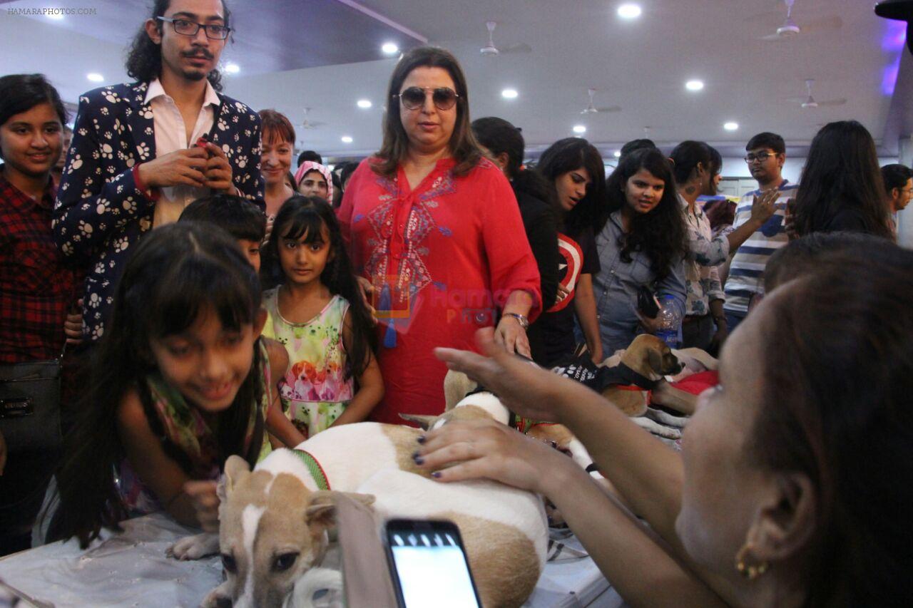 Farah Khan at pet adoption in Mumbai on 27th Nov 2016