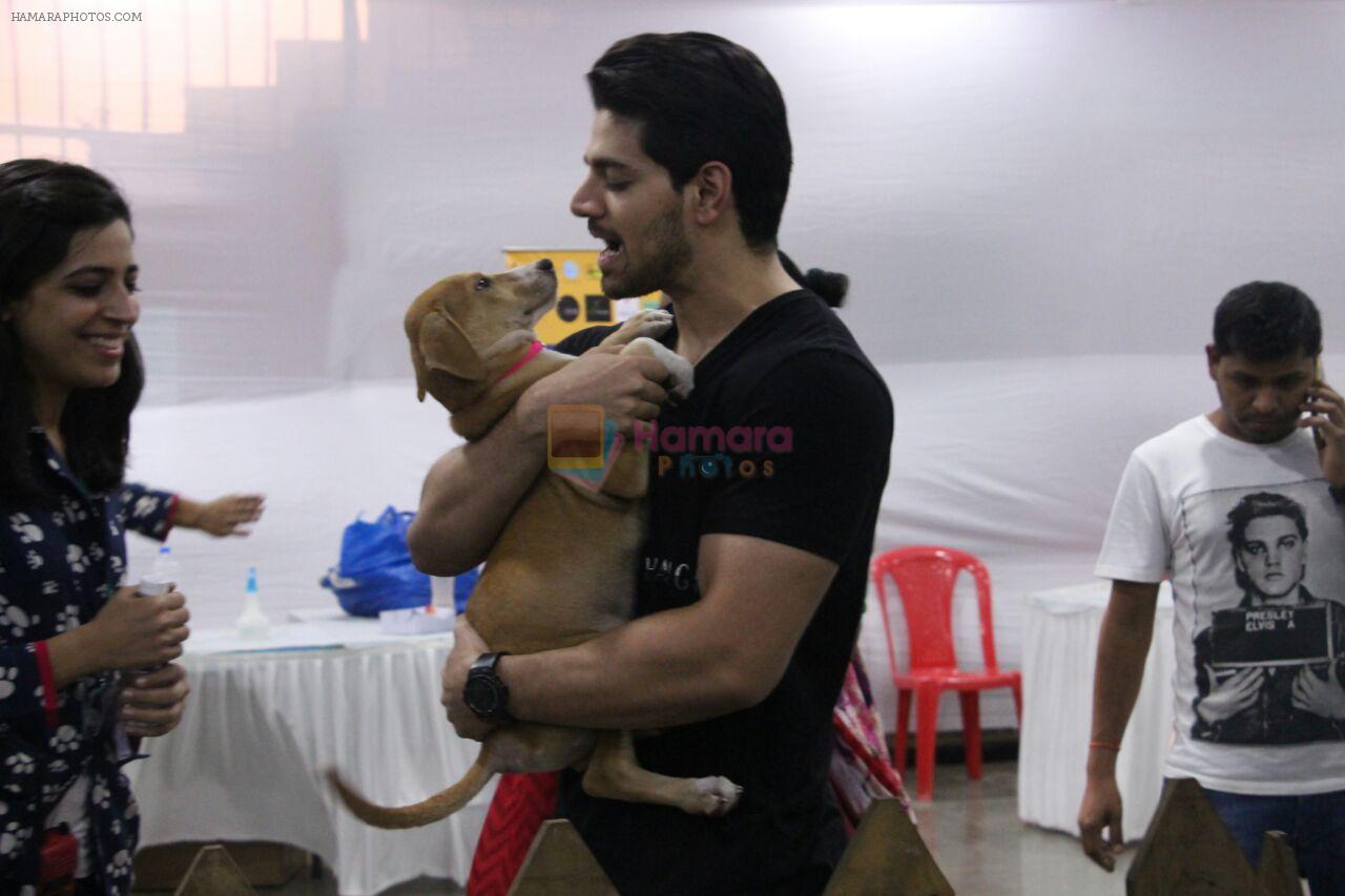 Sooraj Pancholi at pet adoption in Mumbai on 27th Nov 2016