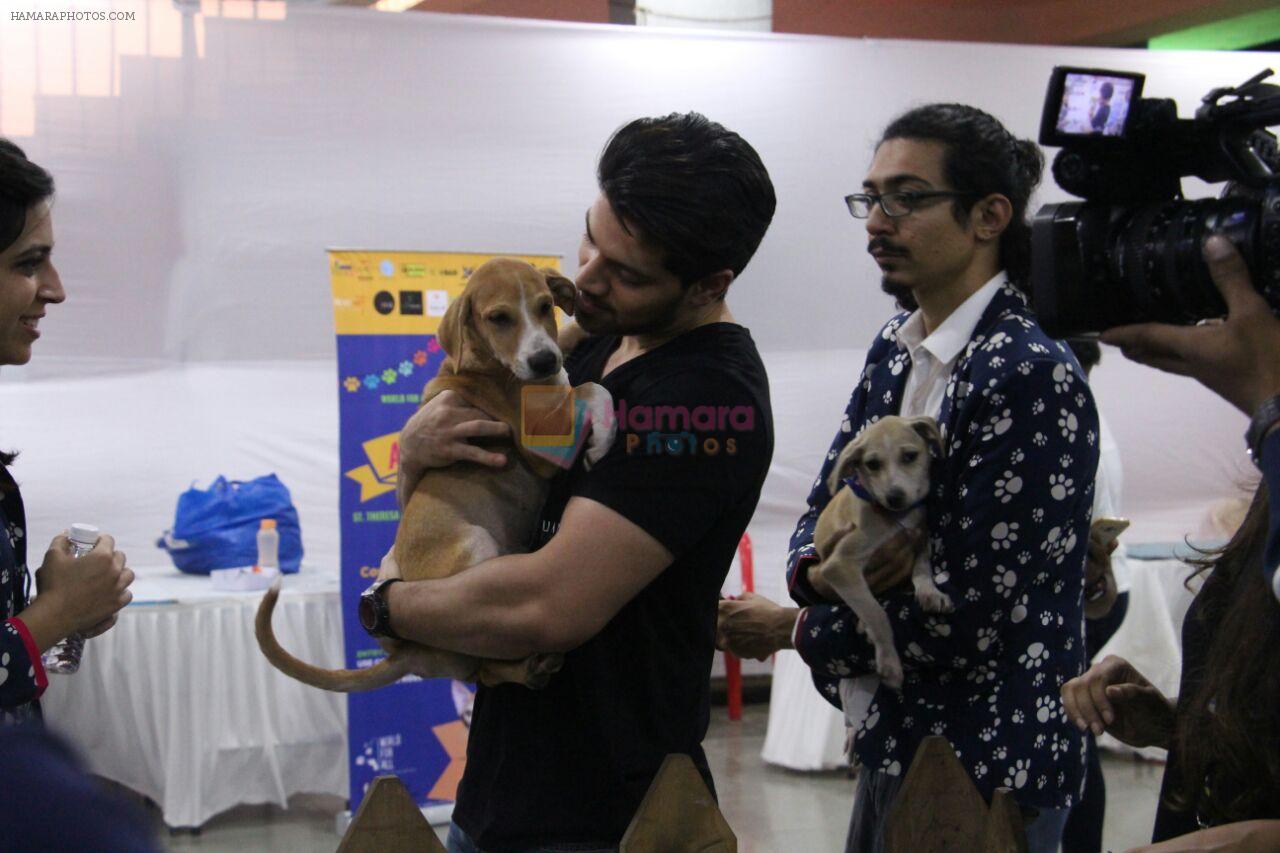 Sooraj Pancholi at pet adoption in Mumbai on 27th Nov 2016