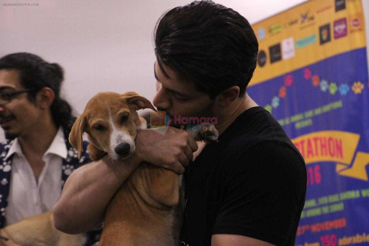 Sooraj Pancholi at pet adoption in Mumbai on 27th Nov 2016