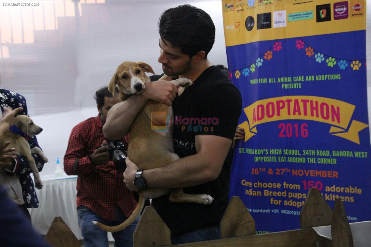 Sooraj Pancholi at pet adoption in Mumbai on 27th Nov 2016