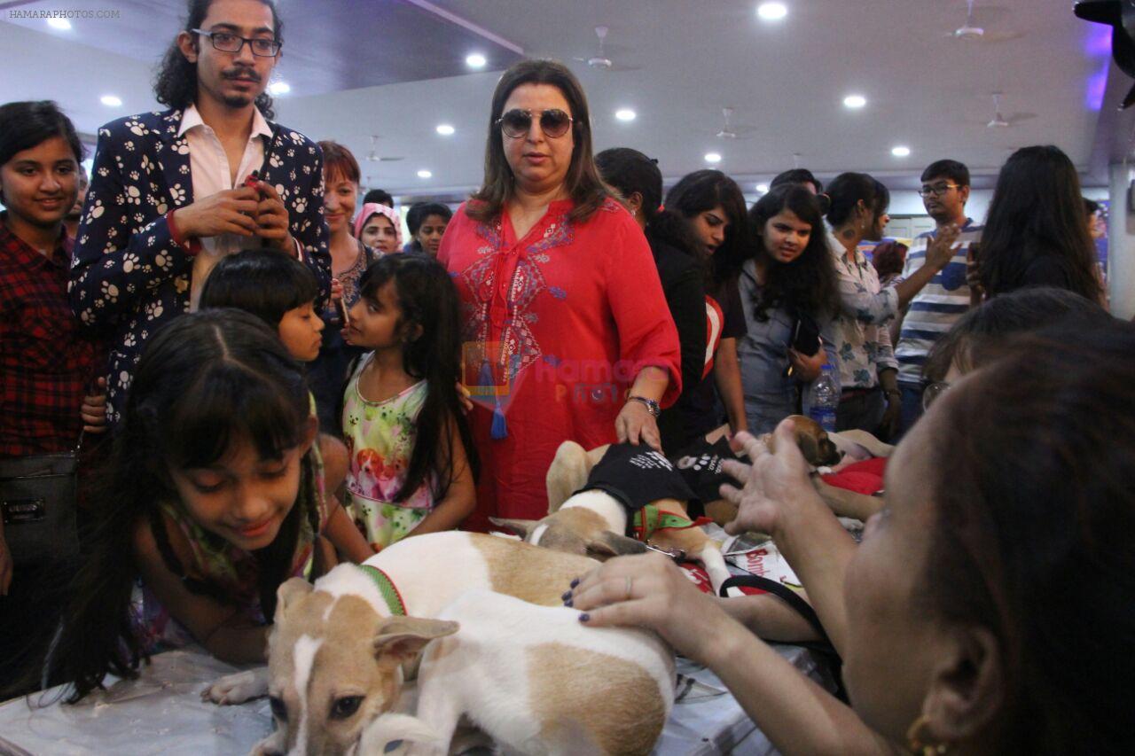 Farah Khan at pet adoption in Mumbai on 27th Nov 2016