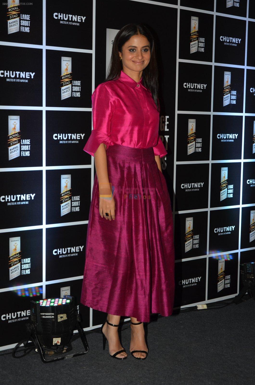 Rasika Duggal at Chutney film launch on 28th Nov 2016