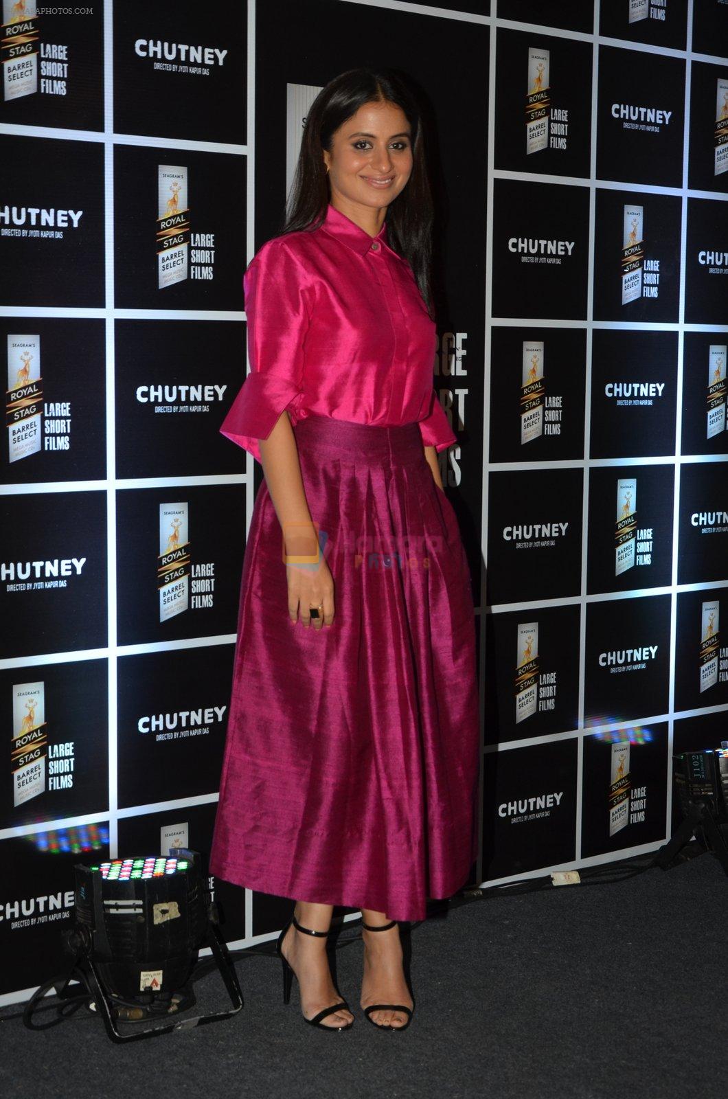 Rasika Duggal at Chutney film launch on 28th Nov 2016