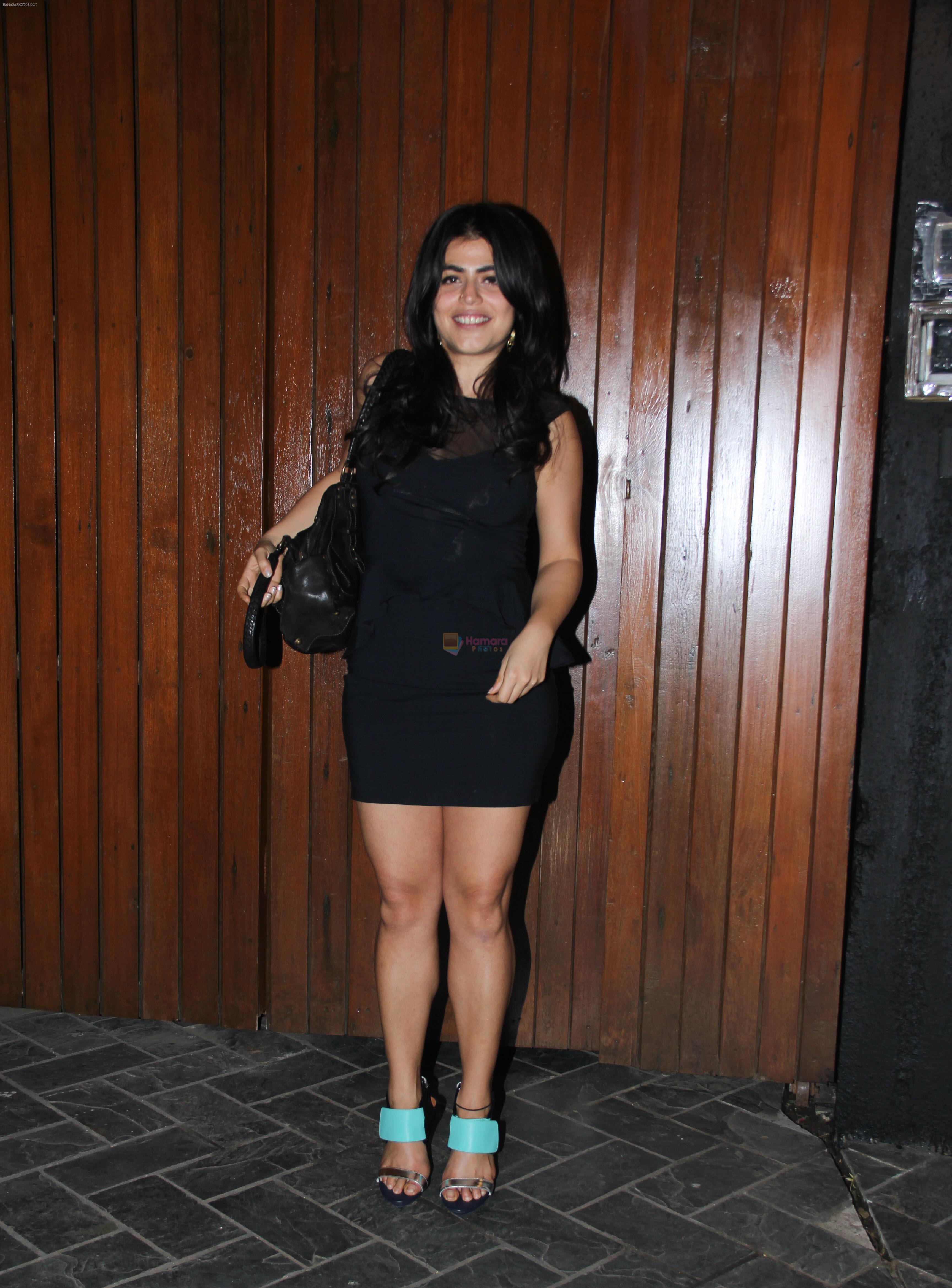 Shenaz Treasury at Deanne Pandey bash on 19th Dec 2016