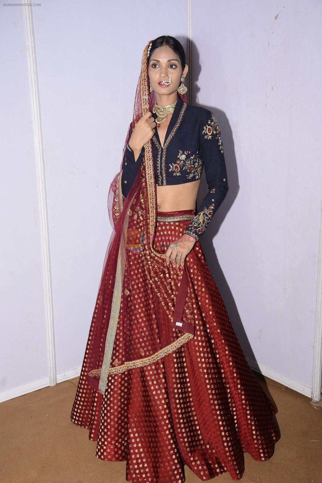 Model at Anju Modi Luxury Festive 2017 collection on 29th Dec 2016