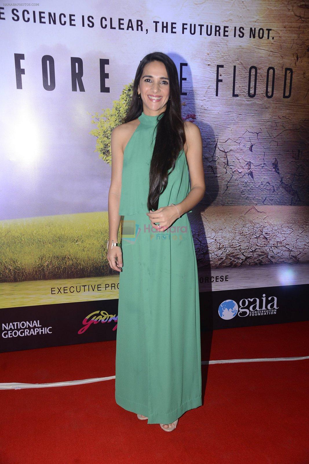 Tara Sharma at Before the floods premiere on 23rd Jan 2017
