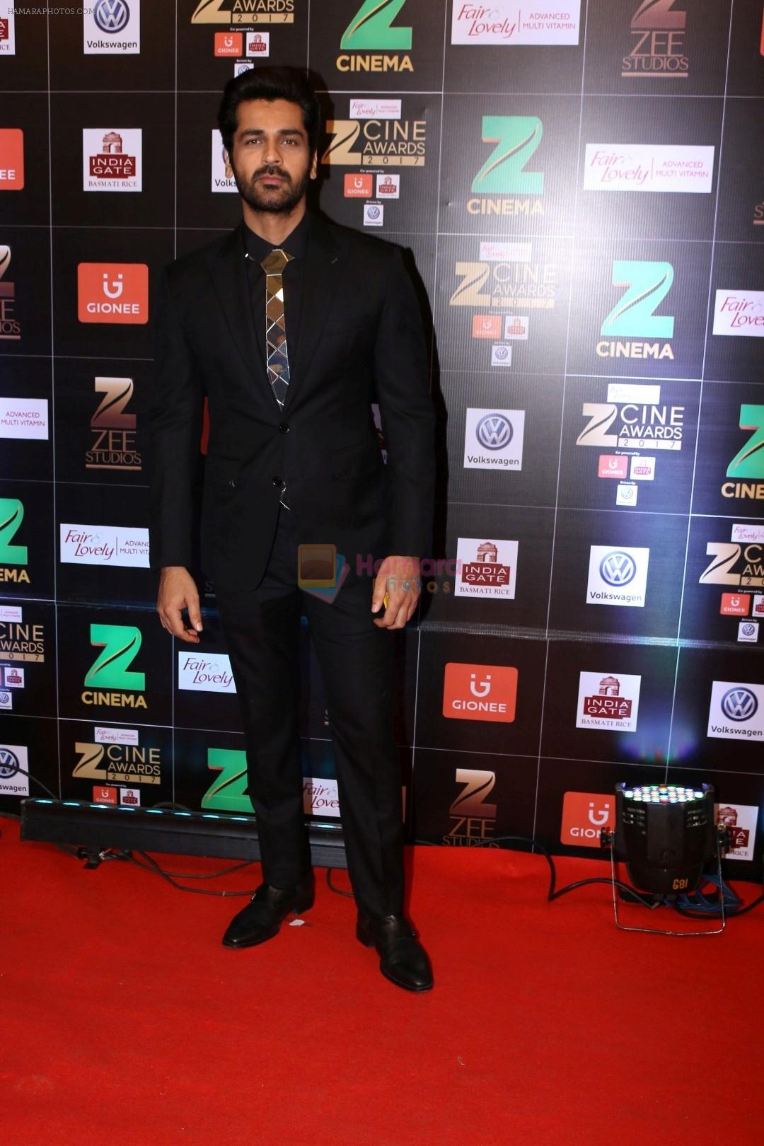 Arjan Bajwa at Red Carpet Of Zee Cine Awards 2017 on 12th March 2017