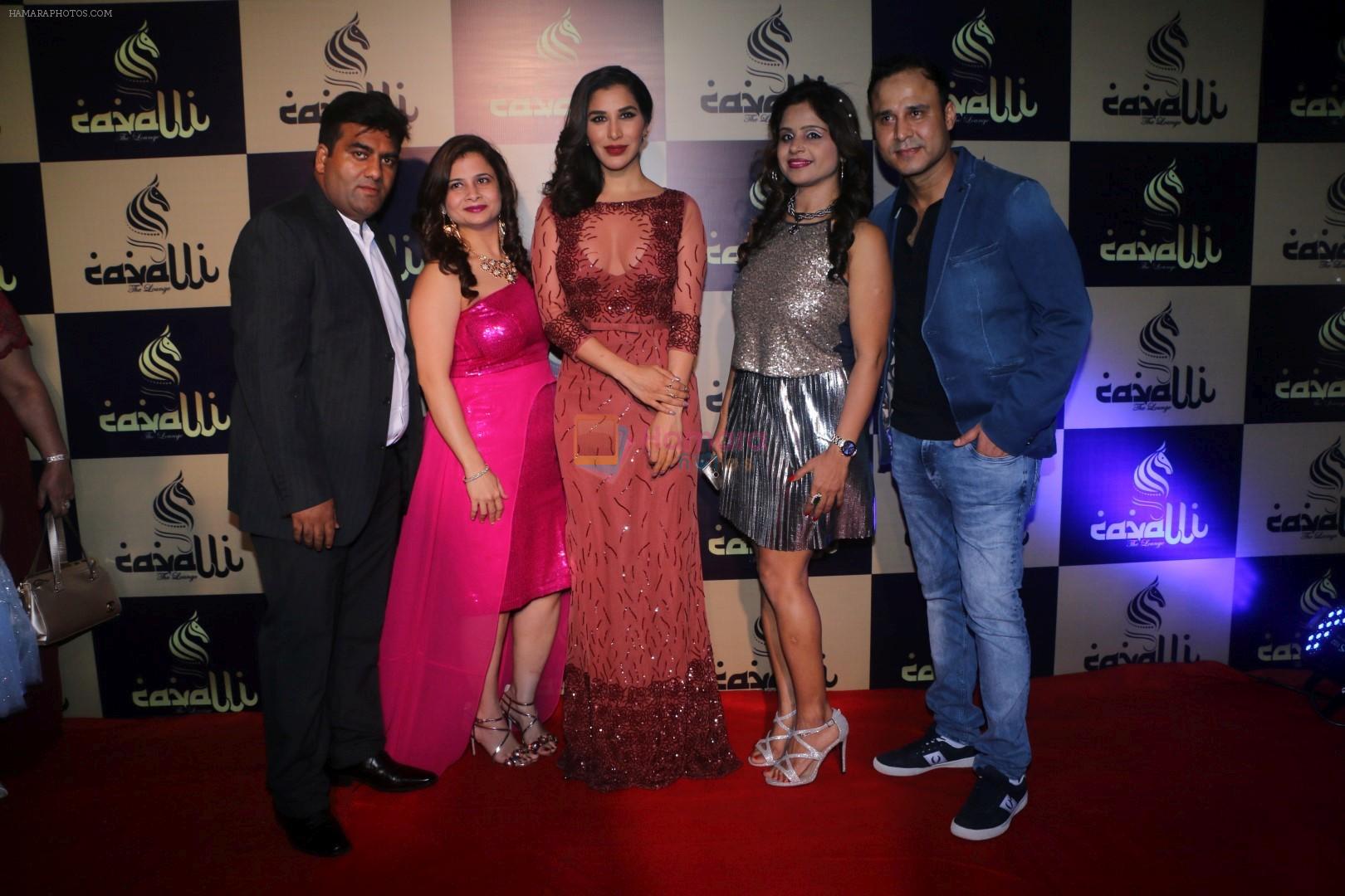 Sophie Choudry at the Launch Of Cavali-The Lounge on 24th March 2017