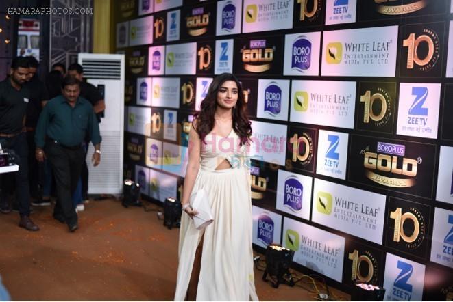 at 10th Gold Awards 2017 on 5th July 2017