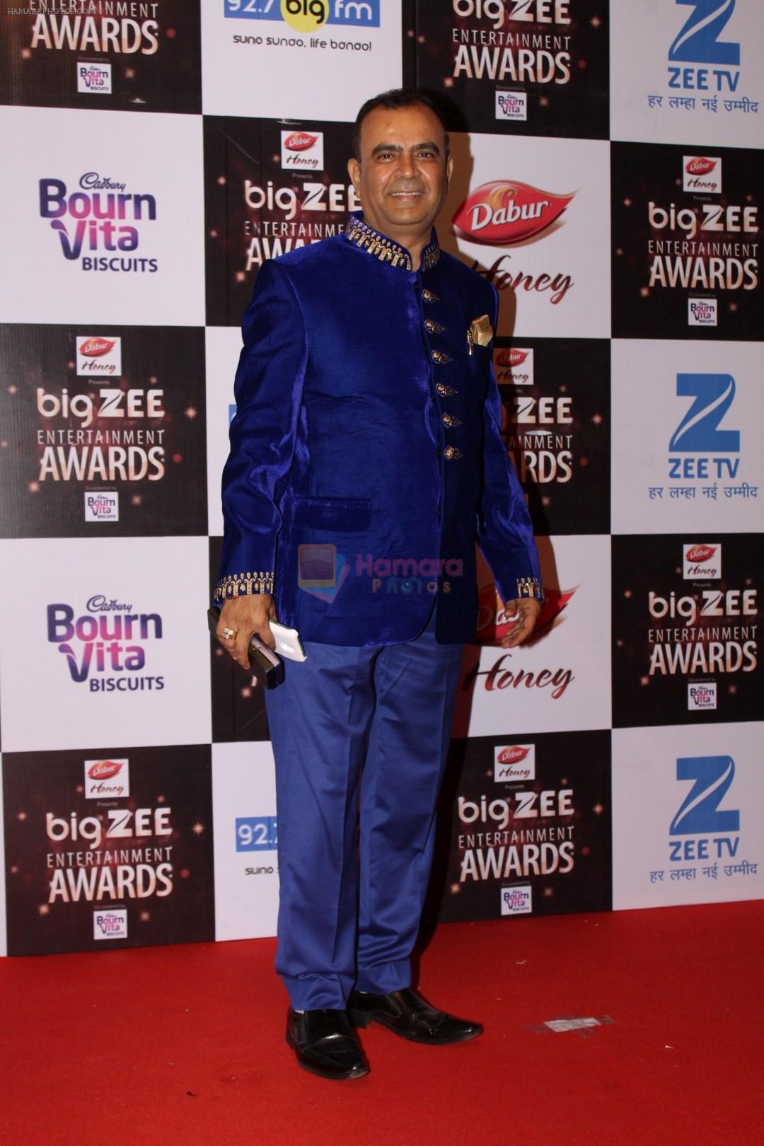 At Red Carpet Of Big Zee Entertainment Awards 2017 on 29th July 2017