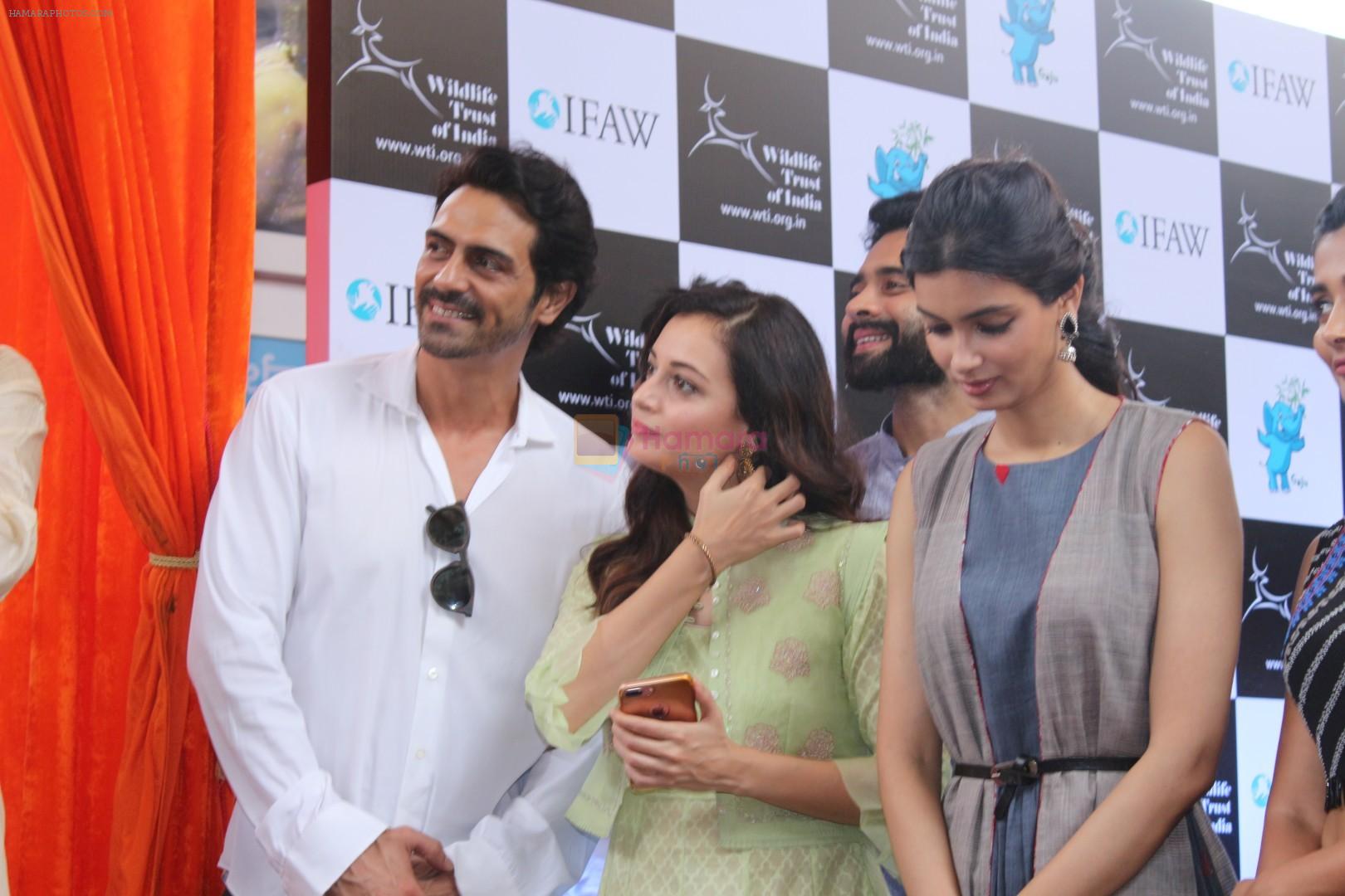 Arjun Rampal, Dia Mirza, Diana Penty, Pooja Hegde, Jackky Bhagnani at the launch of Gaj Yatra on 13th Aug 2017