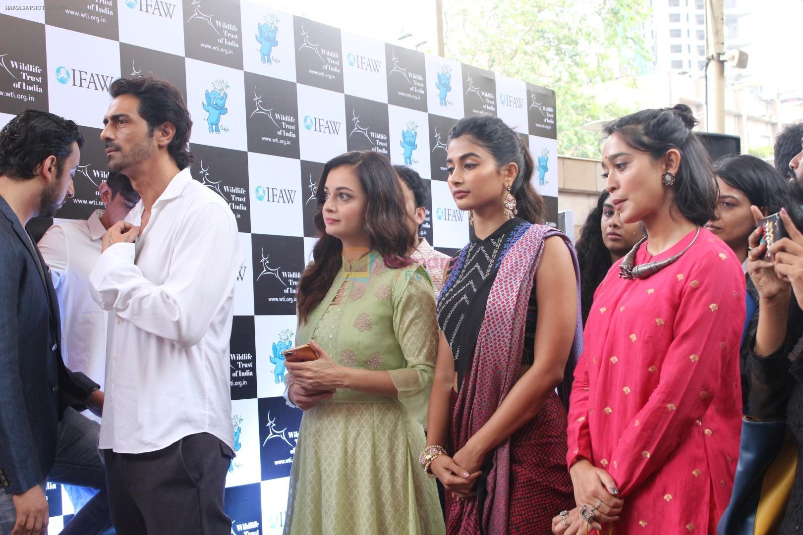 Arjun Rampal, Dia Mirza, Diana Penty at the launch of Gaj Yatra on 13th Aug 2017