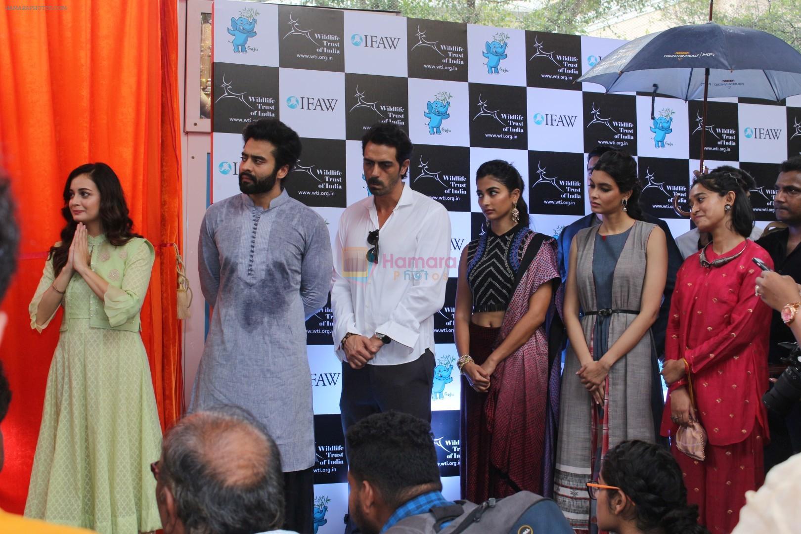 Dia Mirza, Arjun Rampal, Pooja Hegde, Diana Penty, Jackky Bhagnani at the launch of Gaj Yatra on 13th Aug 2017