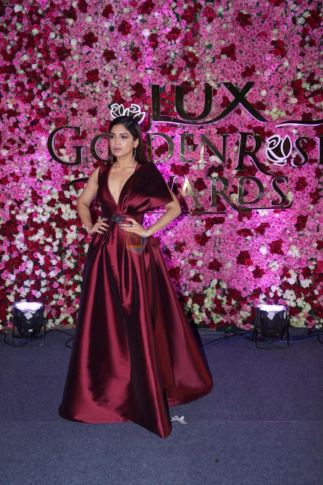 Bhumi Pednekar at the Red Carpet Of Lux Golden Rose Awards 2017 on 10th Dec 2017