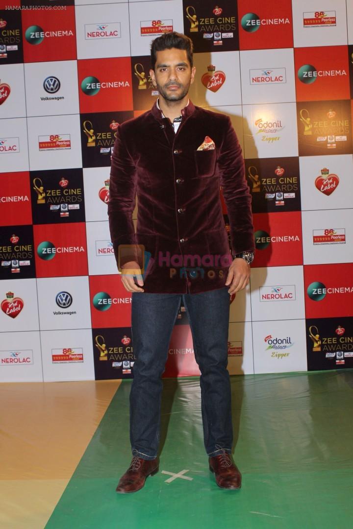 Angad Bedi at the Red Carpet Event Of Zee Cine Awards 2018 on 19th Dec 2017