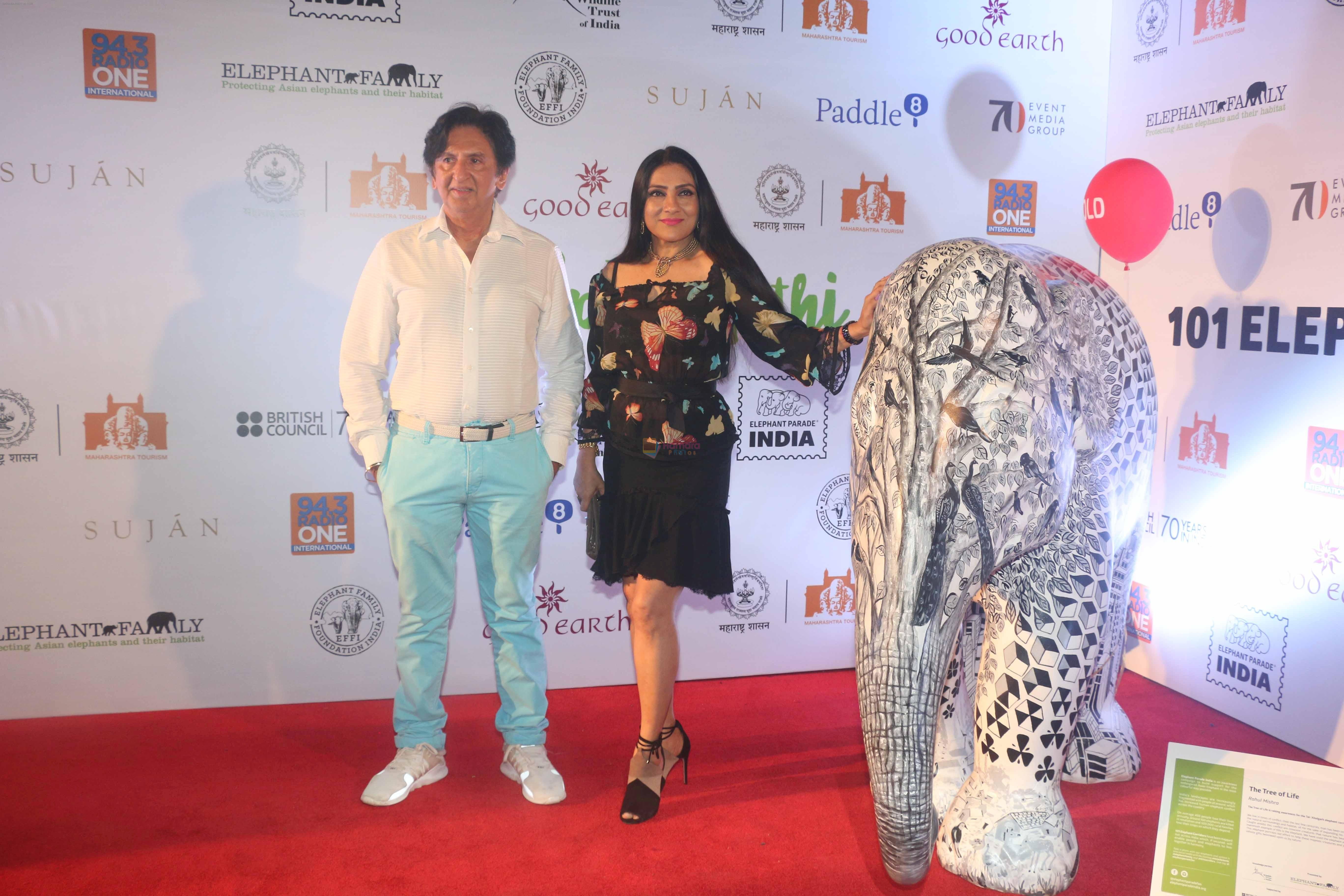 Aarti Surendranath at the Finale of Elephant Parade in Taj Lands End, bandra on 23rd March 2018