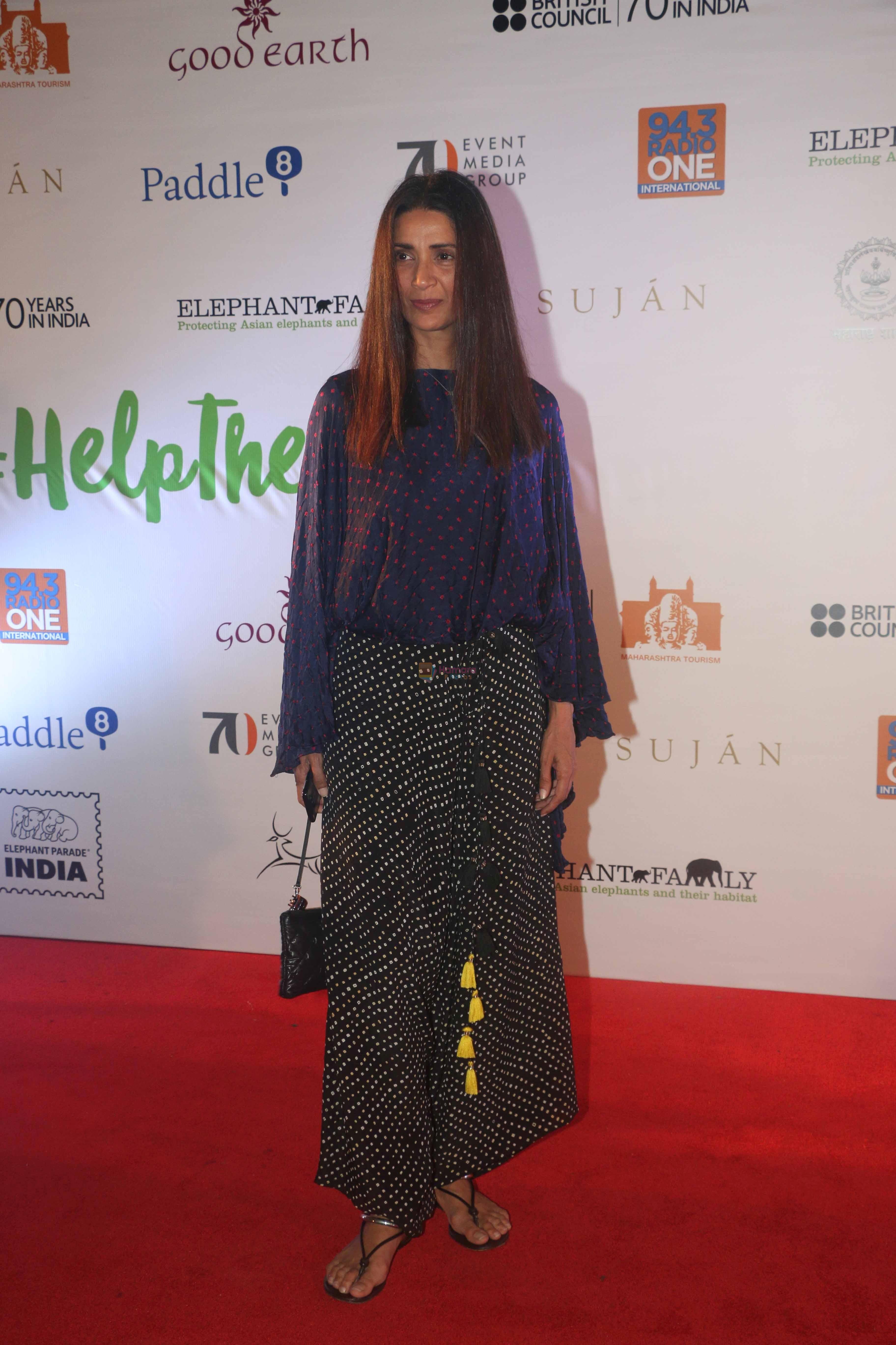 Meher Jessia at the Finale of Elephant Parade in Taj Lands End, bandra on 23rd March 2018