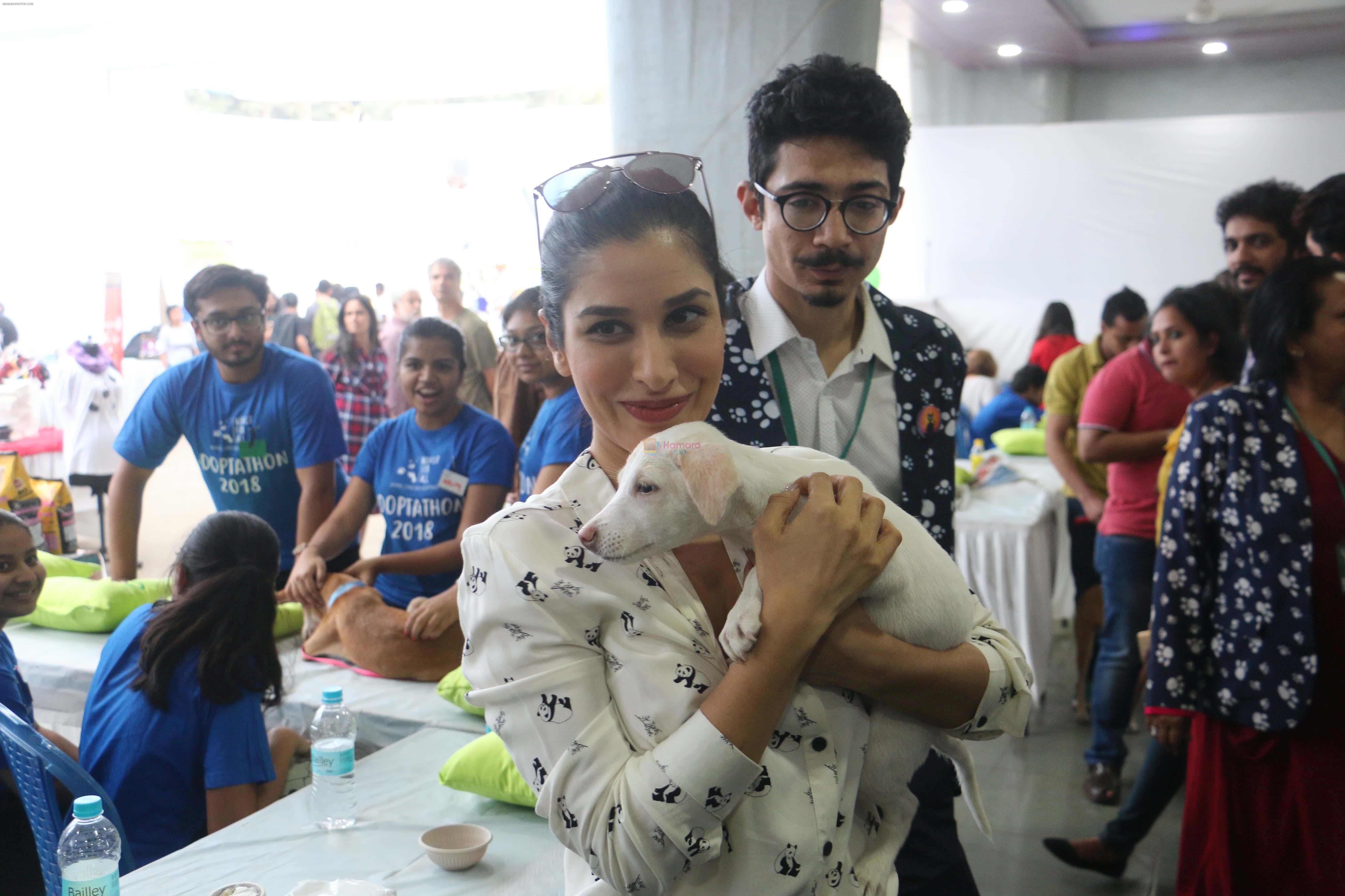 Sophie Choudry At Adapathon 2018 In Bandra on 2nd Dec 2018