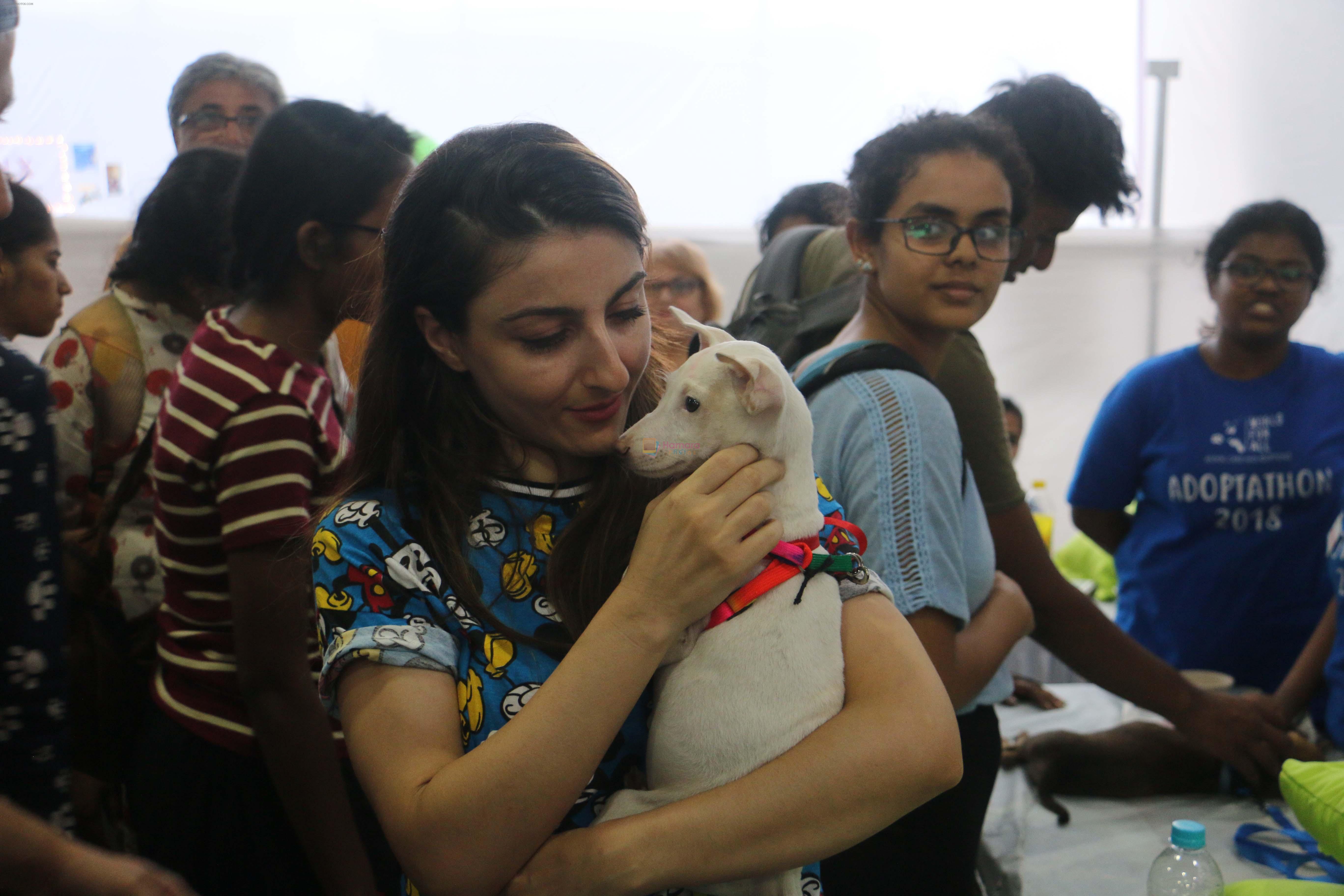 Soha Ali Khan At Adapathon 2018 In Bandra on 2nd Dec 2018