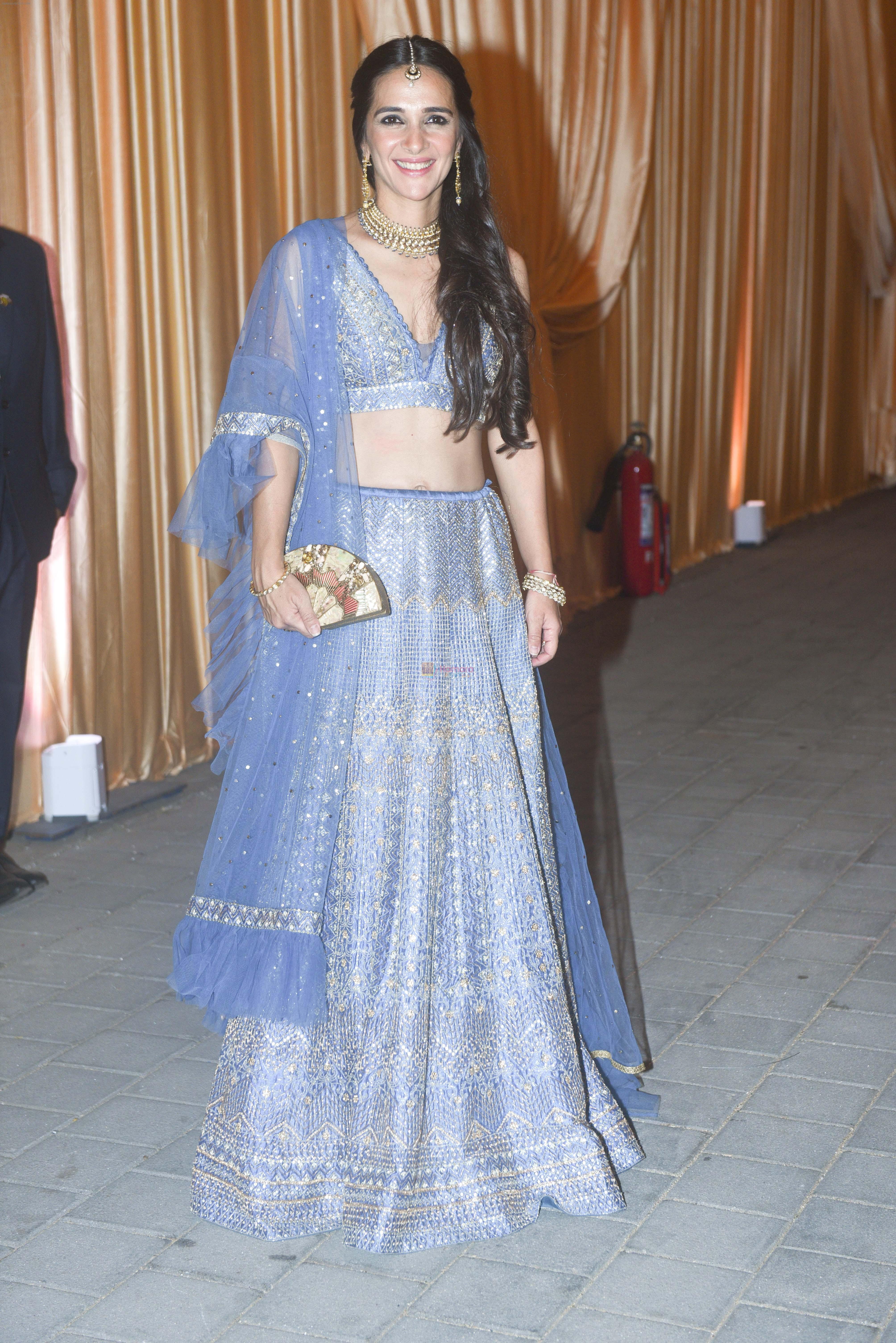 Tara Sharma at Isha Ambani & Anand Piramal wedding reception in jio garden bkc on 15th Dec 2018