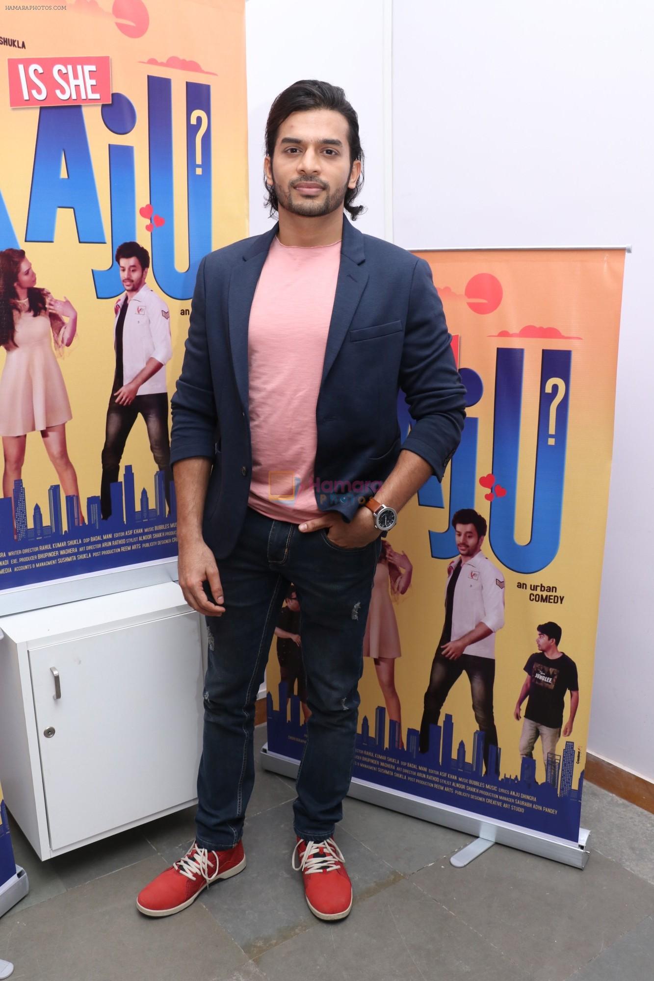 Ansh Gupta at the 1st Look Music & Poster Launch Of Upcoming Film Is She Raju on 16th Jan 2019