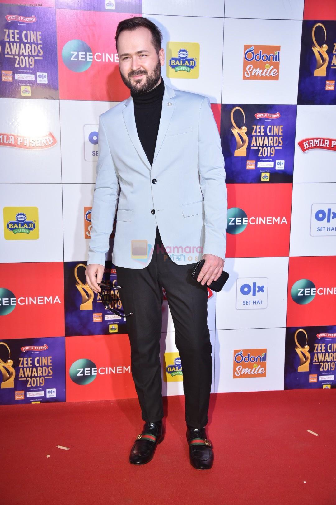 at Zee cine awards red carpet on 19th March 2019