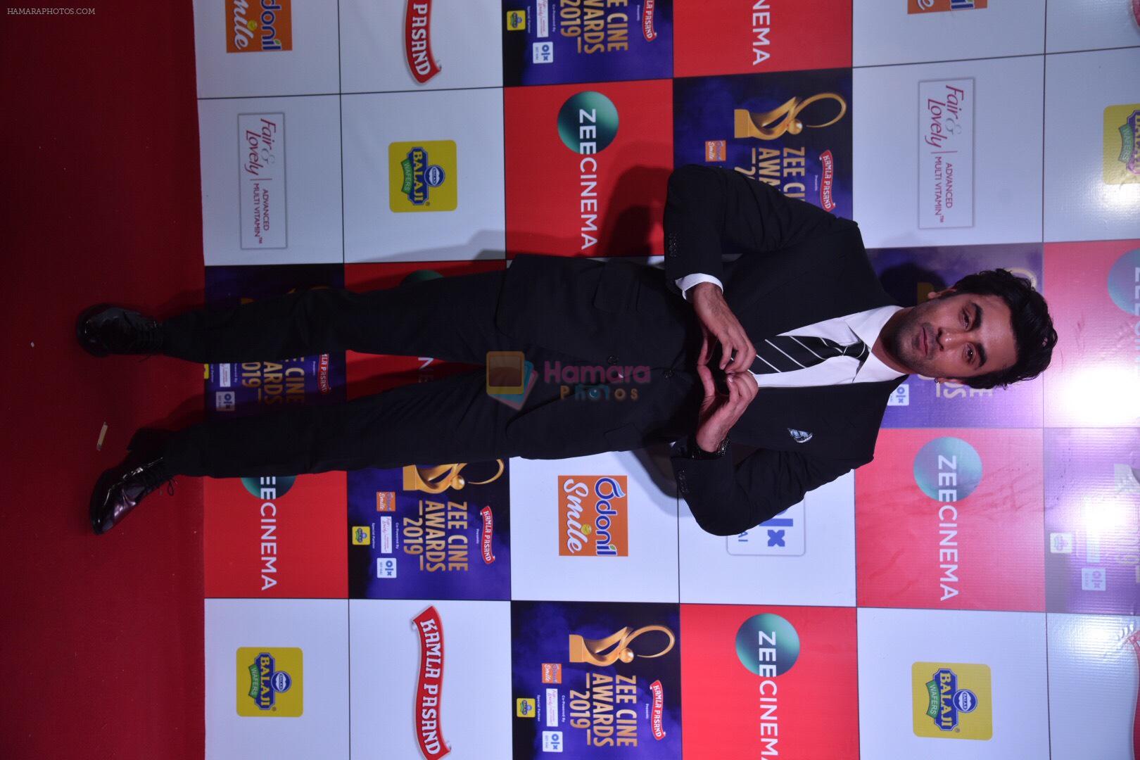 Ranbir Kapoor at Zee cine awards red carpet on 19th March 2019