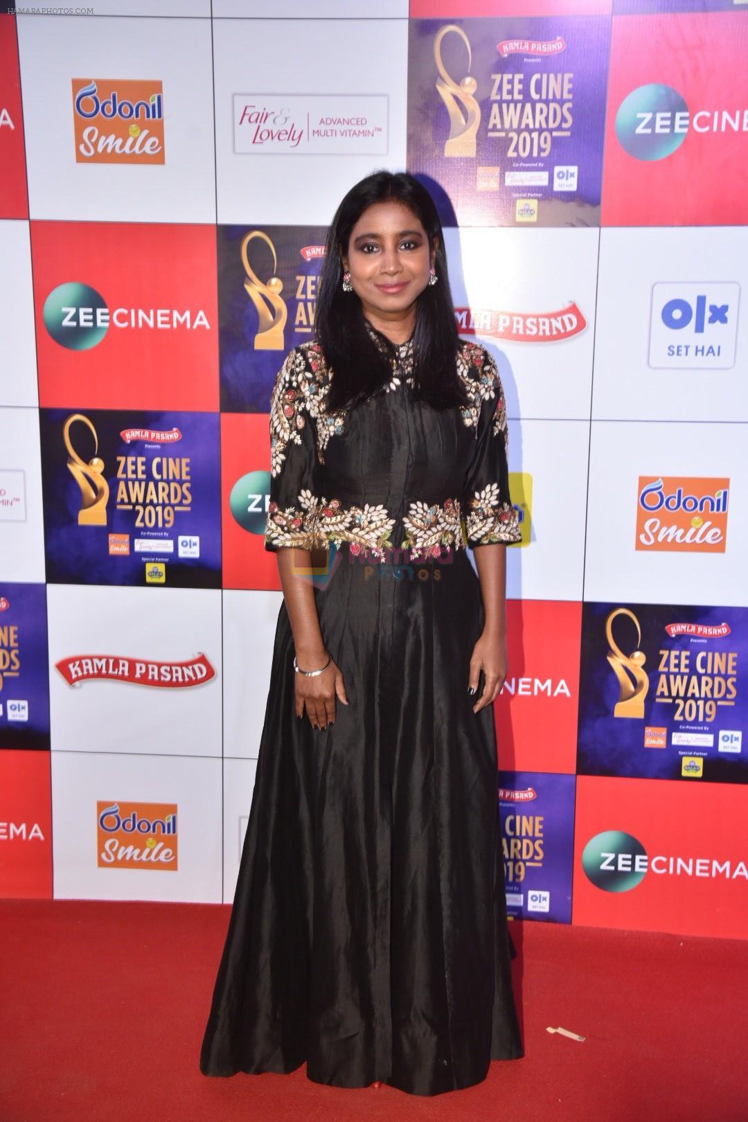 at Zee cine awards red carpet on 19th March 2019