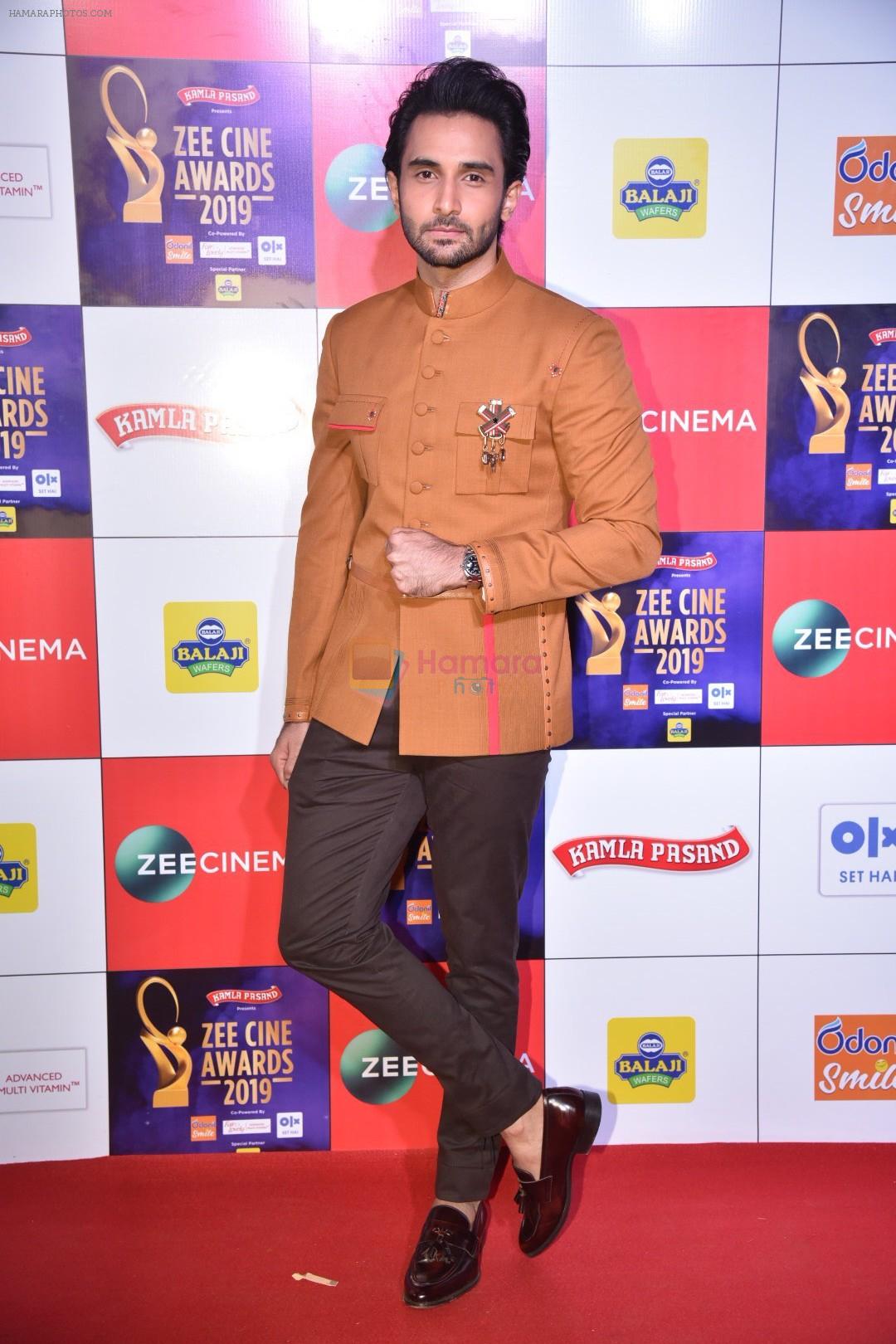 at Zee cine awards red carpet on 19th March 2019