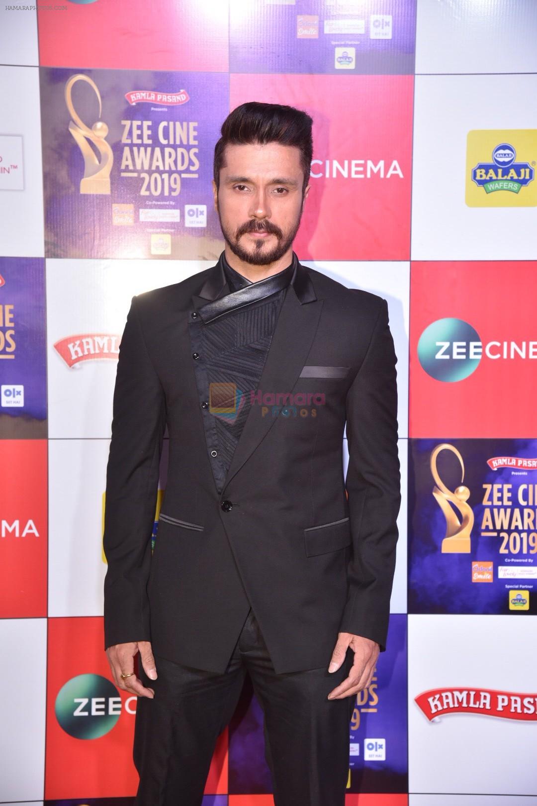 Darshan Kumaar at Zee cine awards red carpet on 19th March 2019