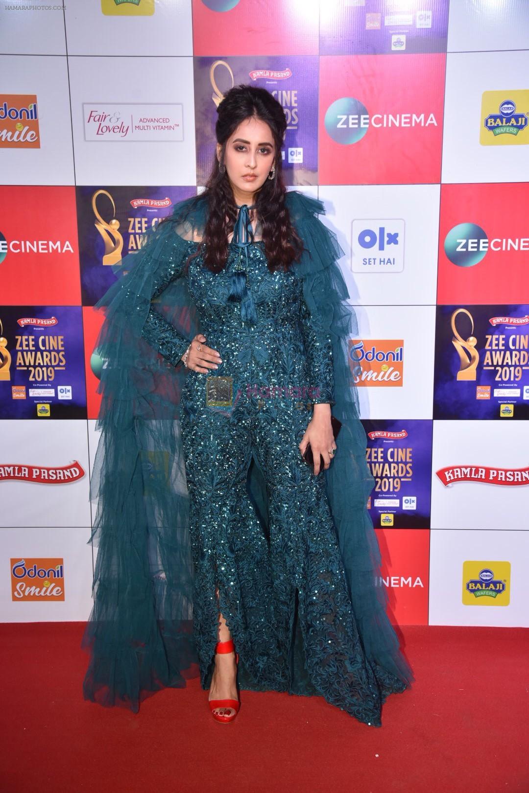 at Zee cine awards red carpet on 19th March 2019