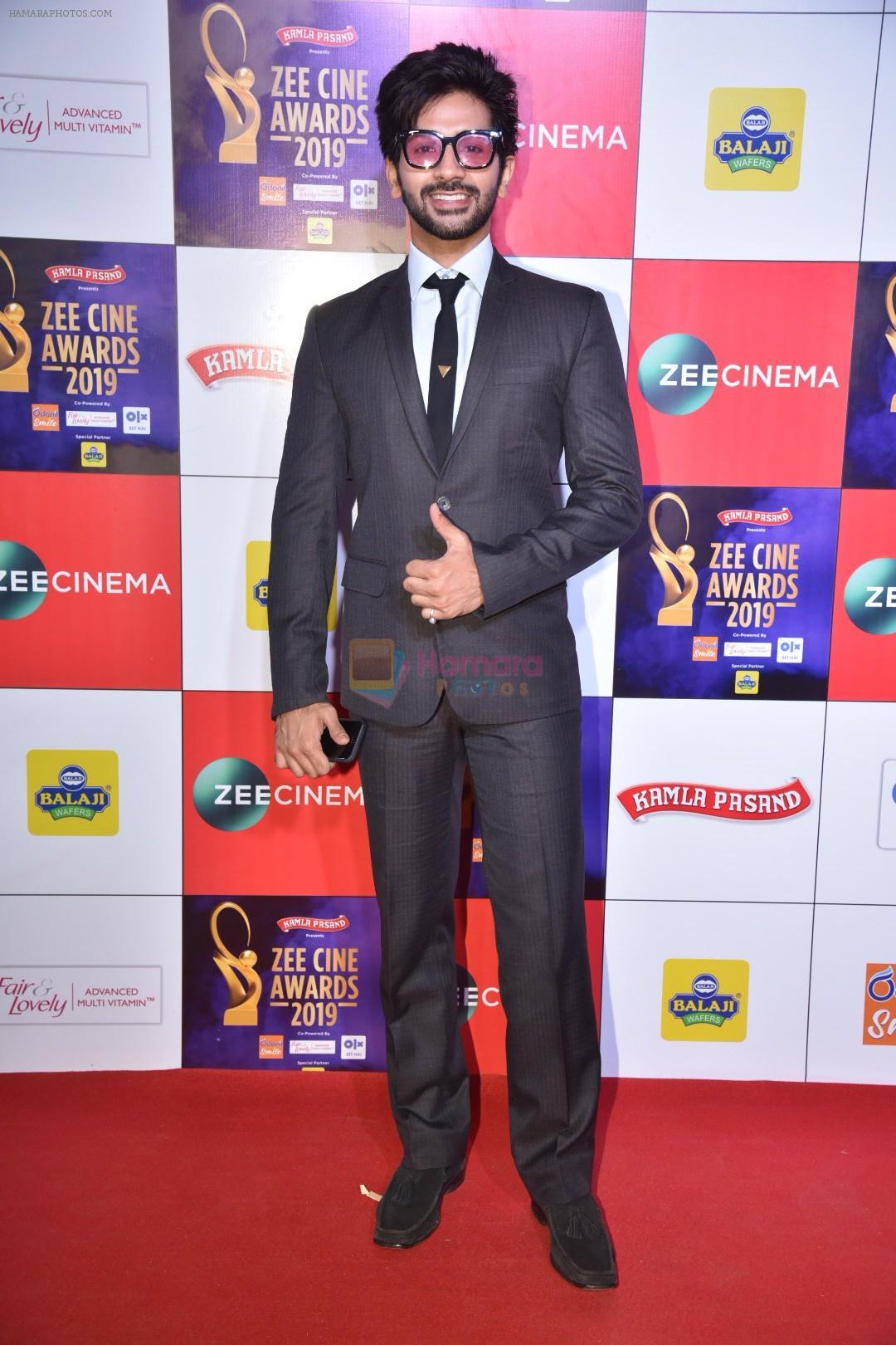 at Zee cine awards red carpet on 19th March 2019