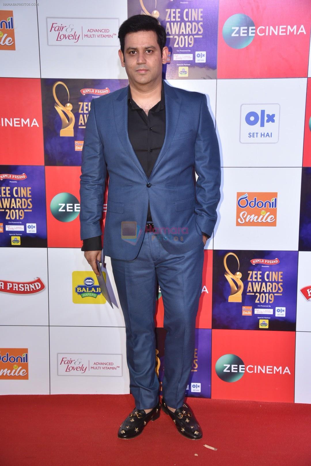 at Zee cine awards red carpet on 19th March 2019