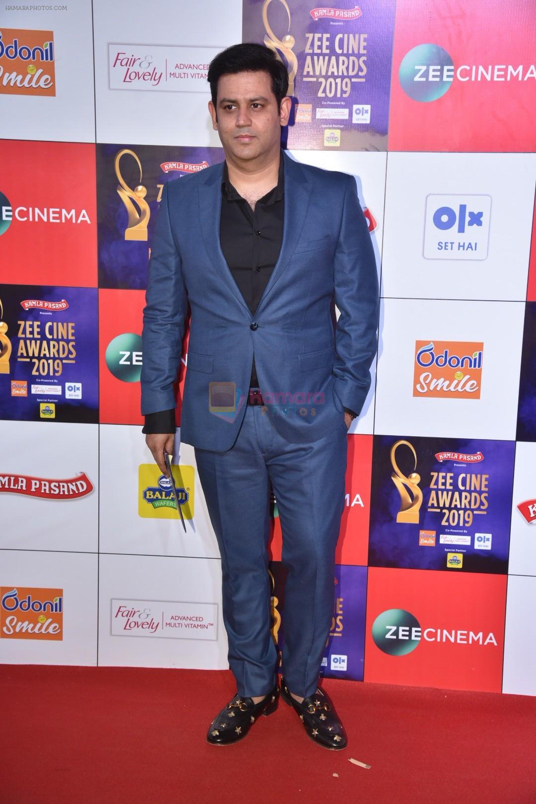 at Zee cine awards red carpet on 19th March 2019