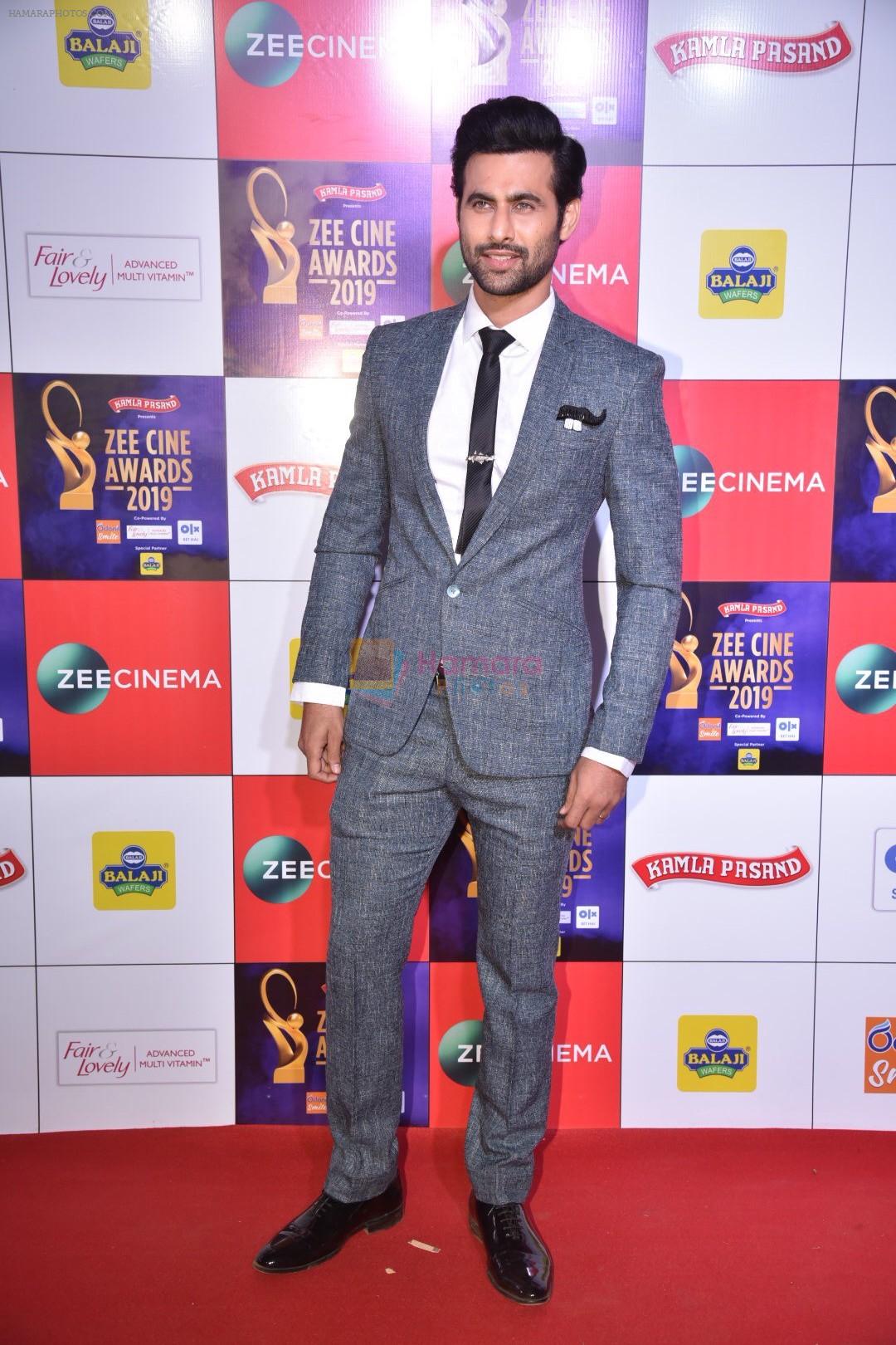 Freddy Daruwala at Zee cine awards red carpet on 19th March 2019