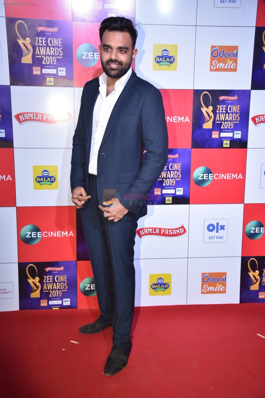 at Zee cine awards red carpet on 19th March 2019