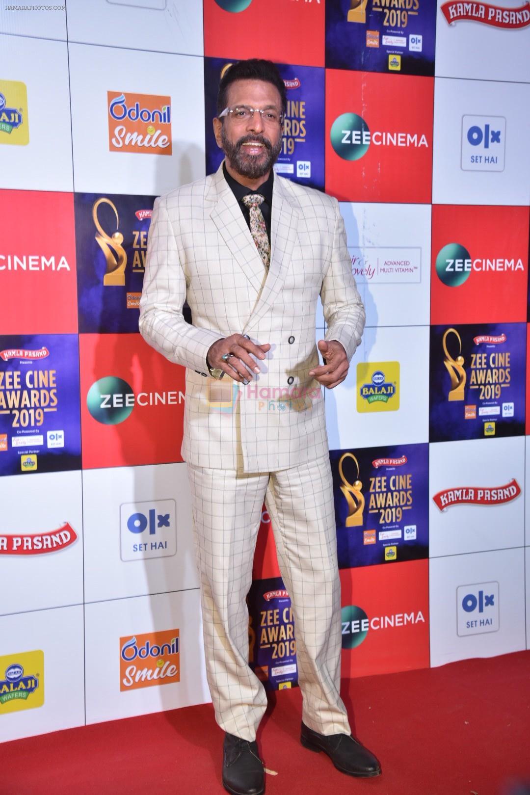 Javed Jaffrey at Zee cine awards red carpet on 19th March 2019