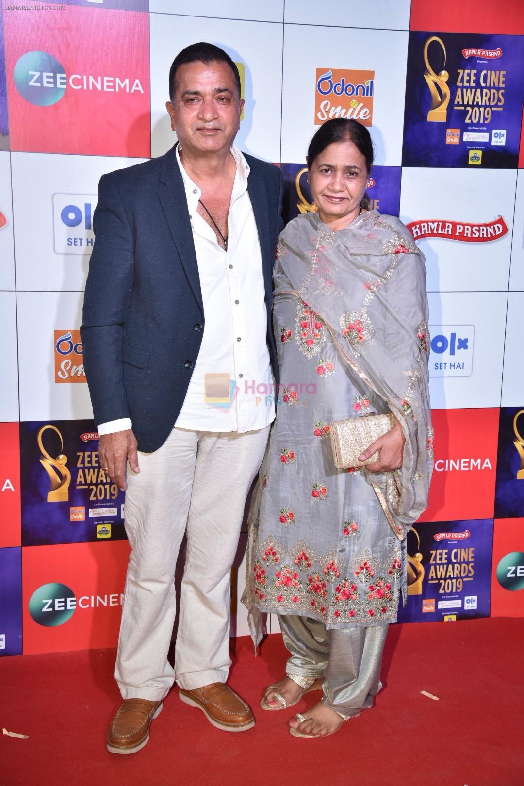 at Zee cine awards red carpet on 19th March 2019