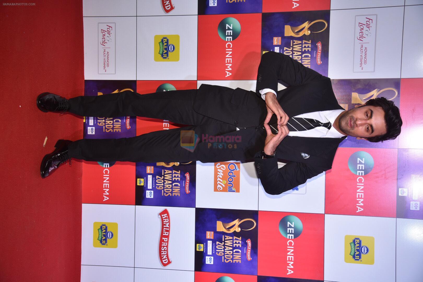 Ranbir Kapoor at Zee cine awards red carpet on 19th March 2019