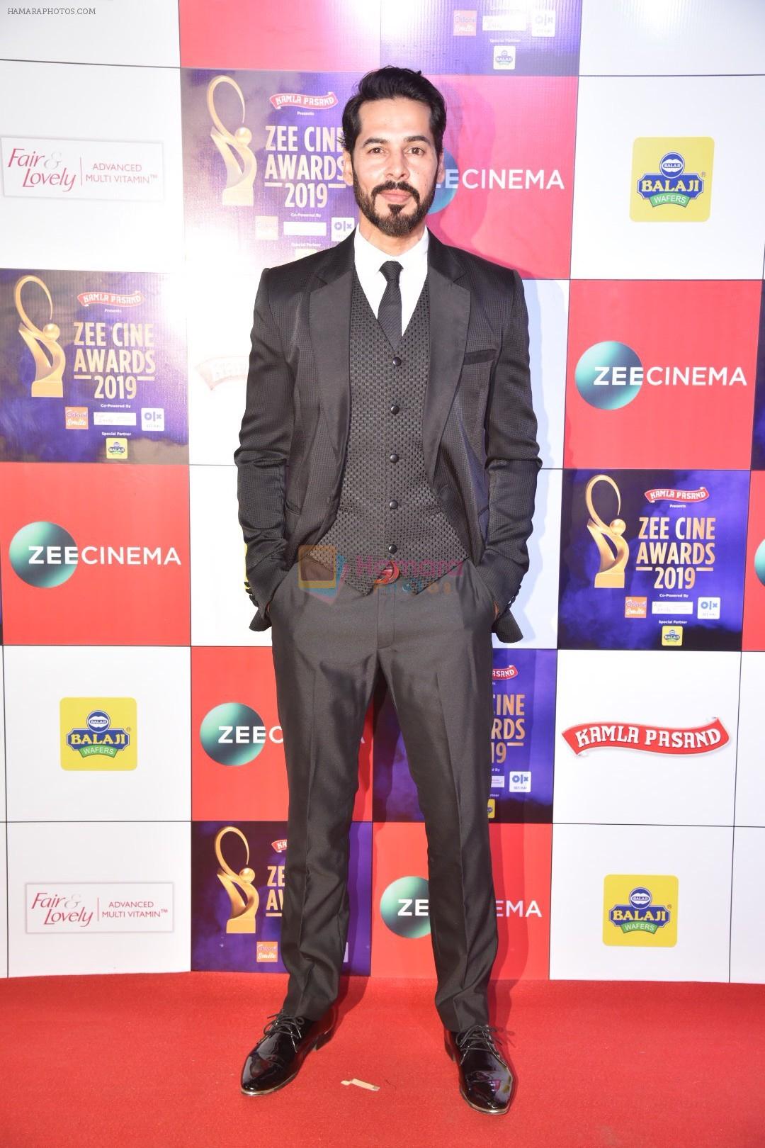 Dino Morea at Zee cine awards red carpet on 19th March 2019