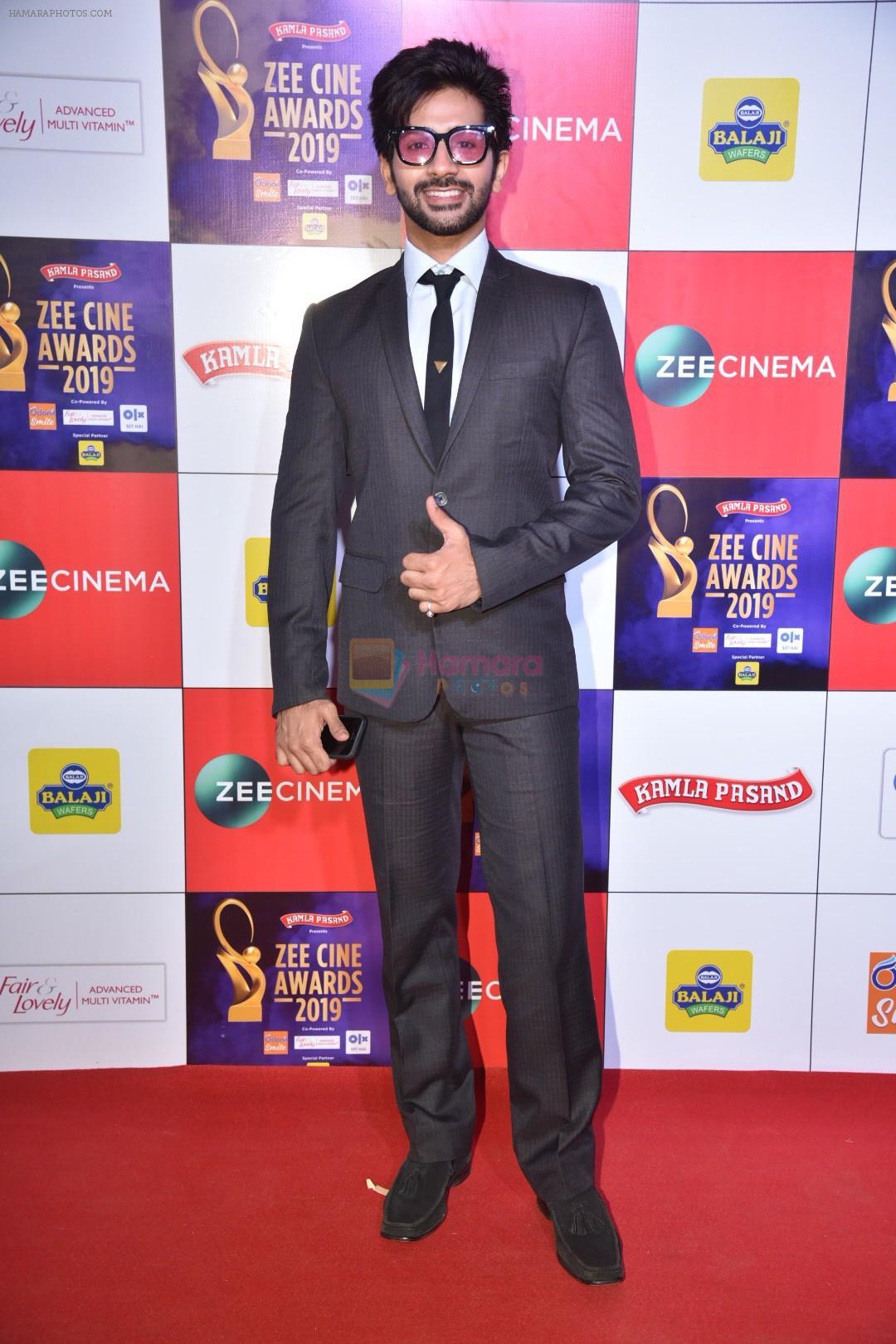 at Zee cine awards red carpet on 19th March 2019