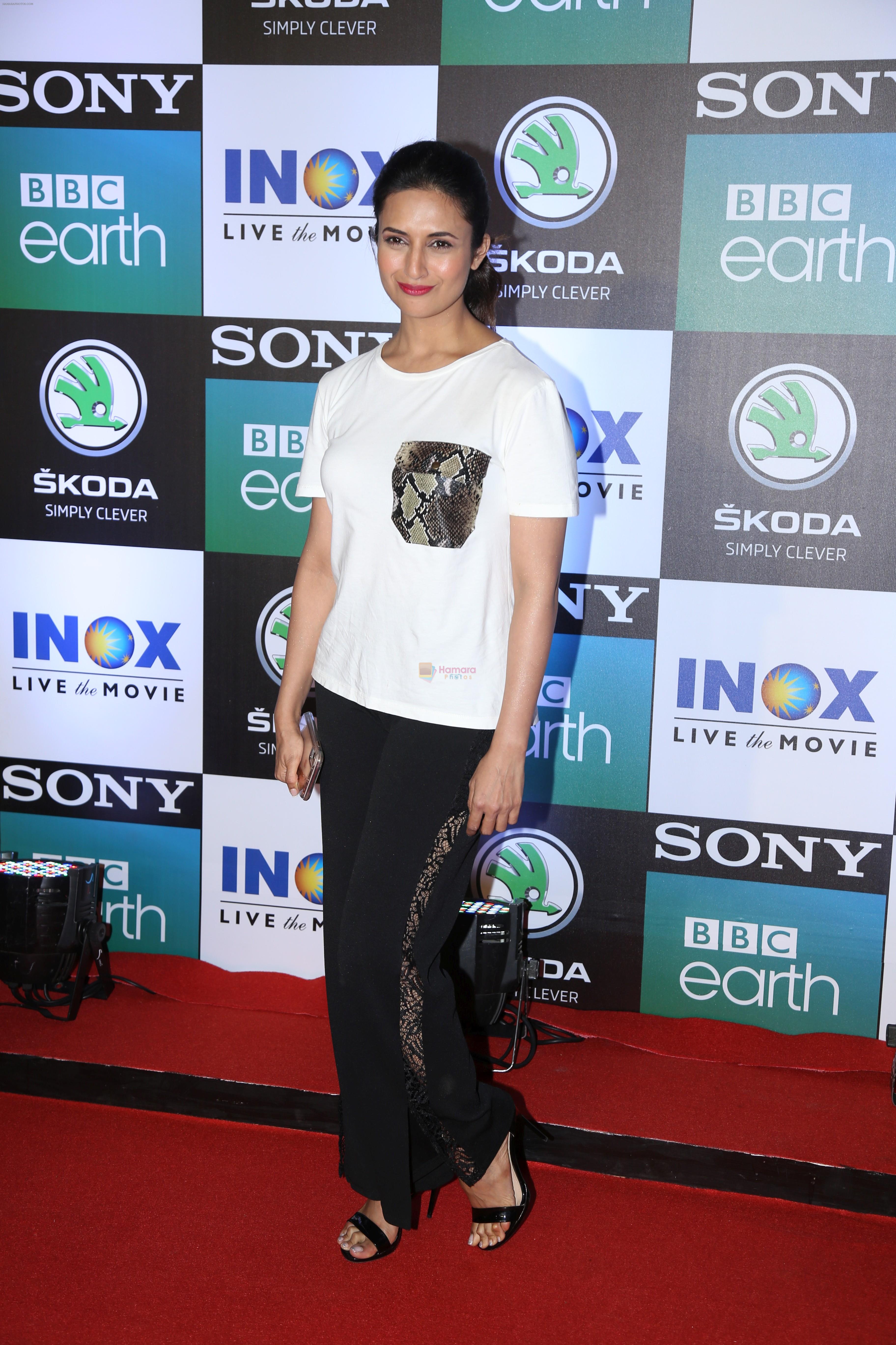 Divyanka Tripathi at the Screening of Sony BBC's series Dynasties in worli  on 12th June 2019