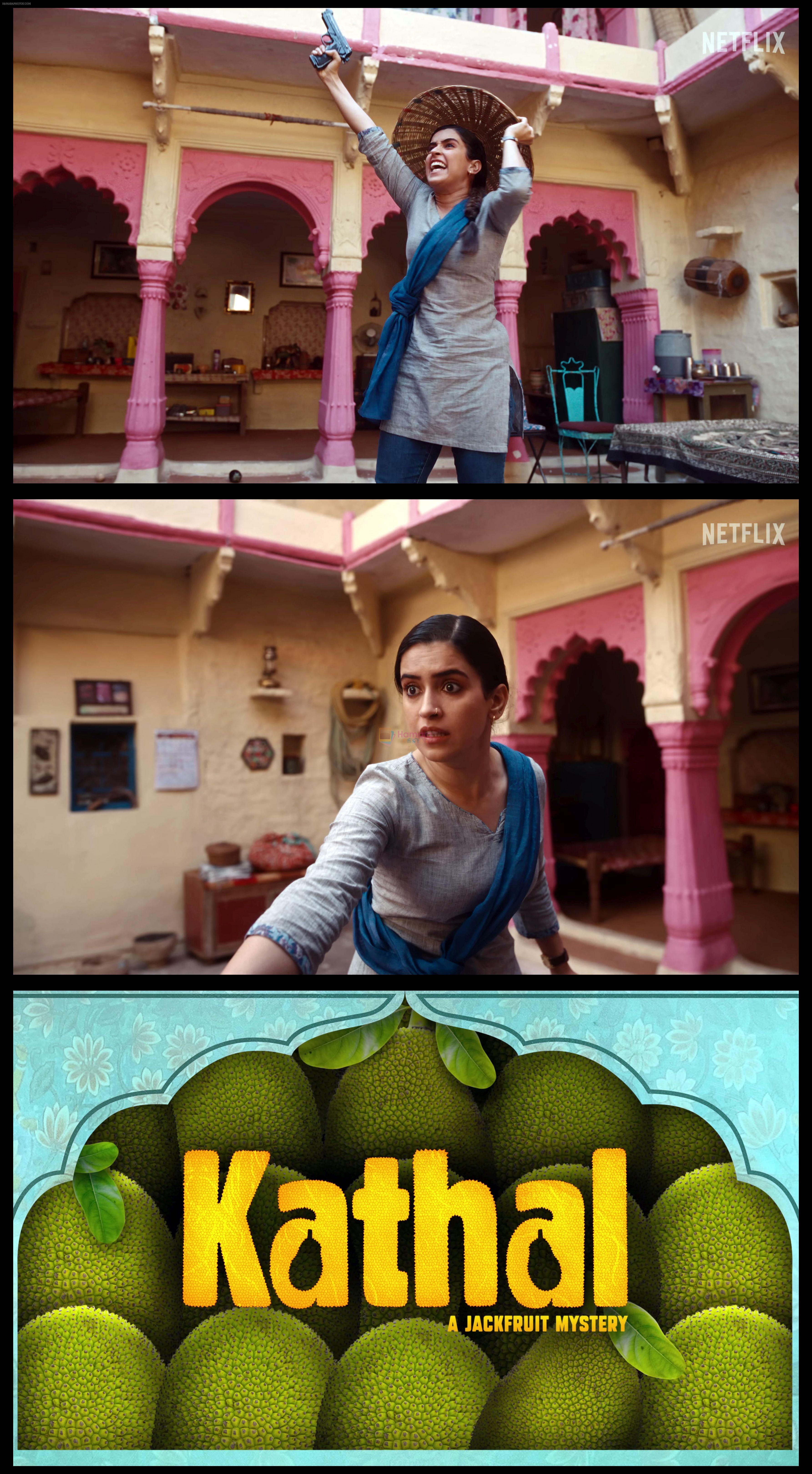 Sanya Malhotra as Mahima Basor in Kathal A Jackfruit Mystery Movie Still1
