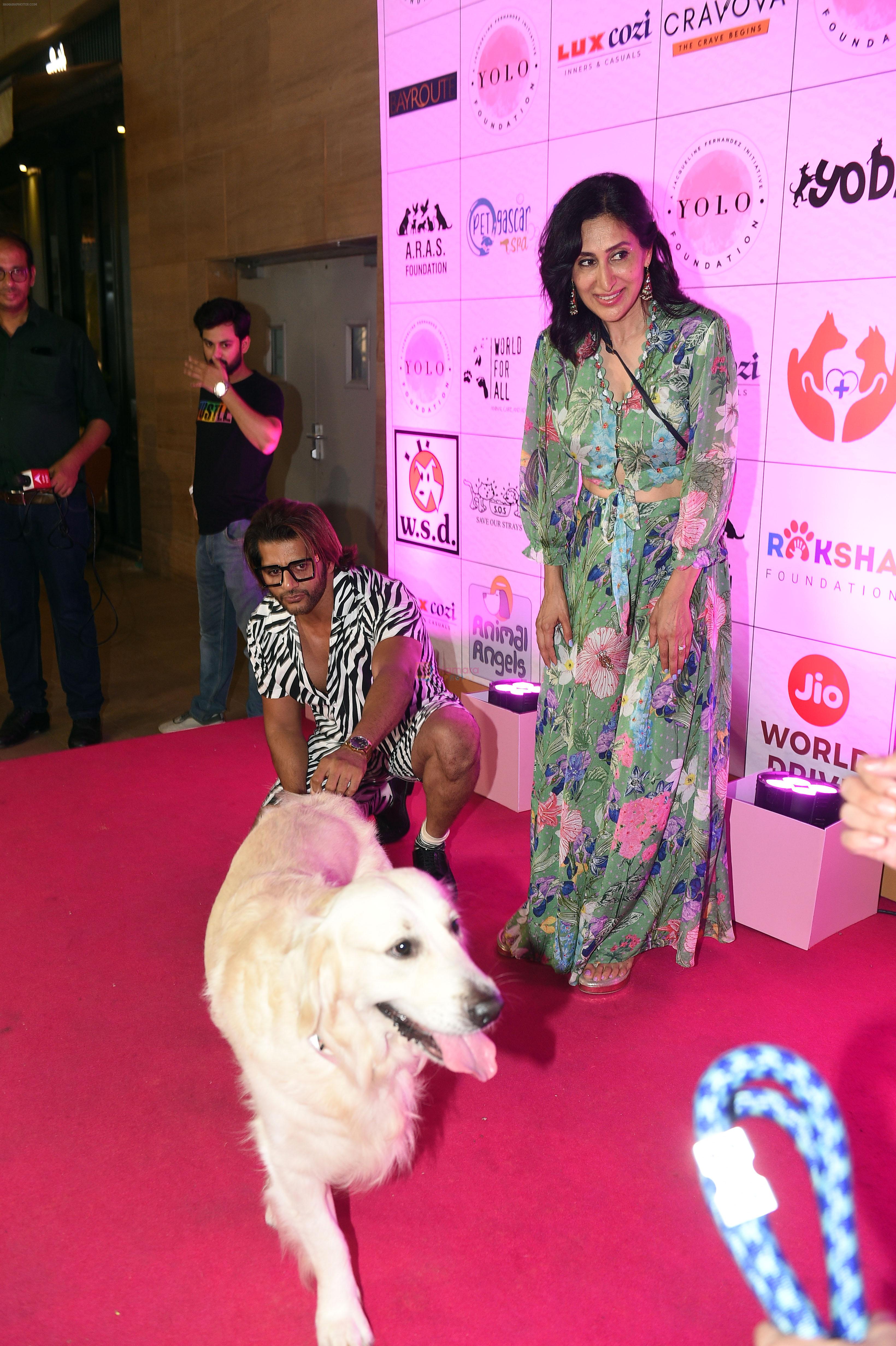 Teejay Sidhu at The Animal Welfare Event at Jio World Drive in Mumbai on May 19, 2023