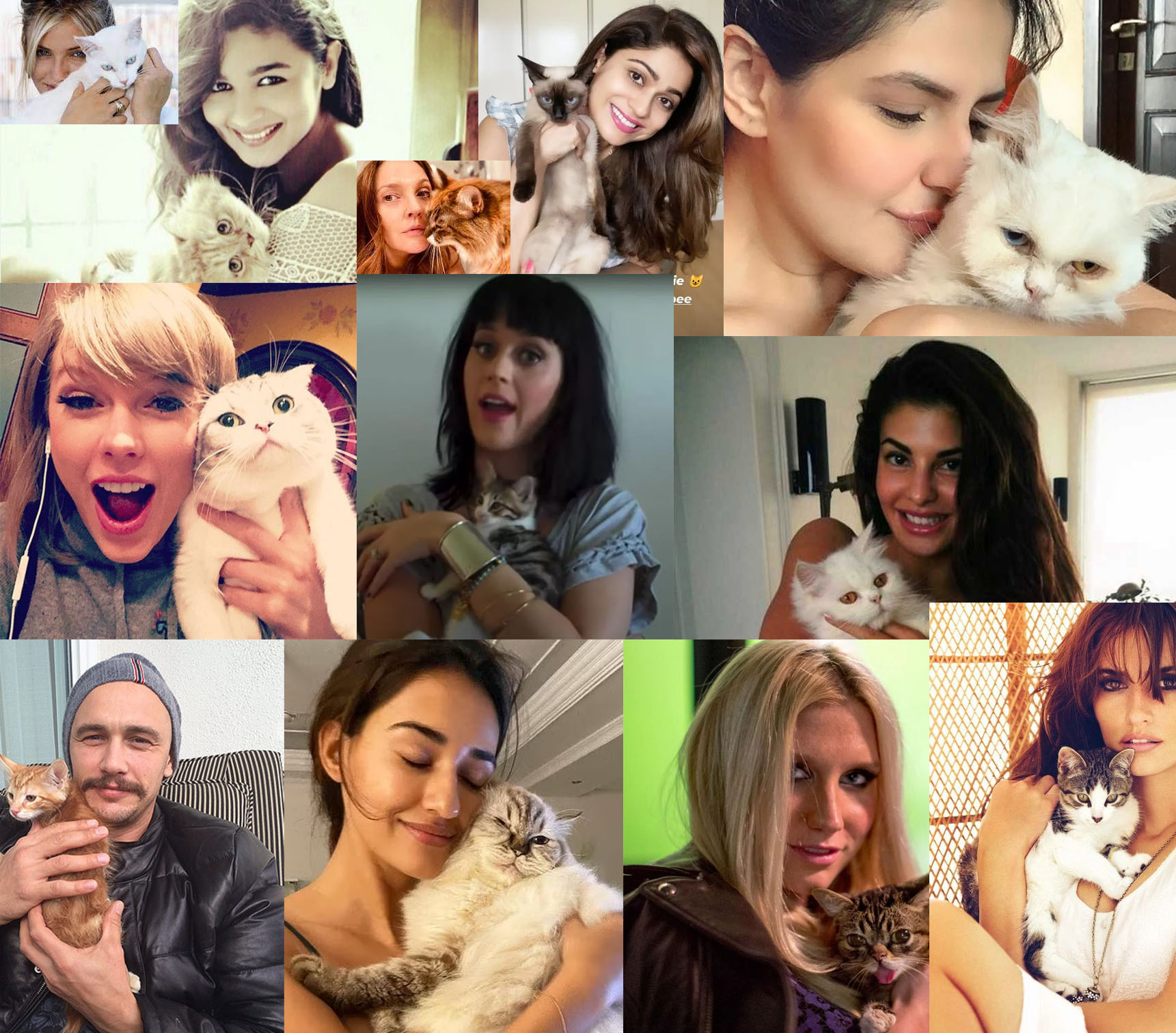 Celebrity Love for their cats